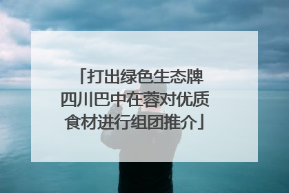 打出绿色生态牌 四川巴中在蓉对优质食材进行组团推介