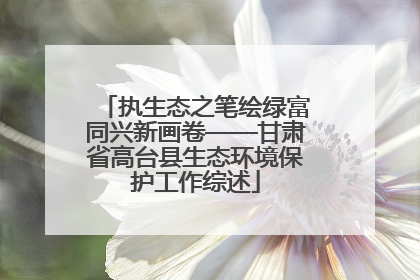 执生态之笔绘绿富同兴新画卷——甘肃省高台县生态环境保护工作综述