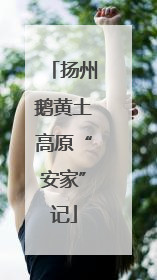 扬州鹅黄土高原“安家”记