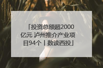 投资总额超2000亿元 泸州推介产业项目94个丨数读西投