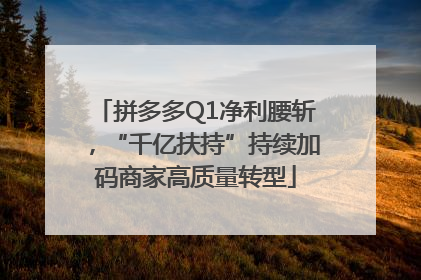 拼多多Q1净利腰斩，“千亿扶持”持续加码商家高质量转型
