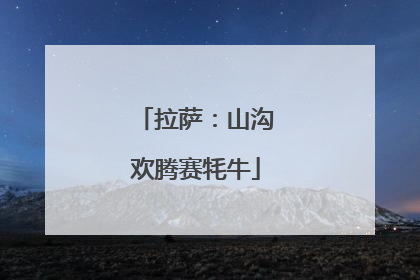 拉萨：山沟欢腾赛牦牛