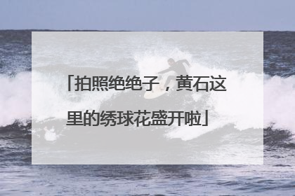 拍照绝绝子，黄石这里的绣球花盛开啦