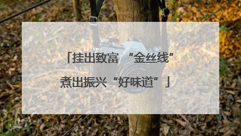 挂出致富 “金丝线” 煮出振兴“好味道”