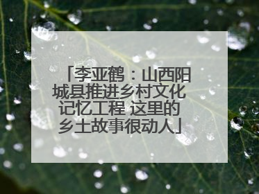 李亚鹤：山西阳城县推进乡村文化记忆工程 这里的乡土故事很动人