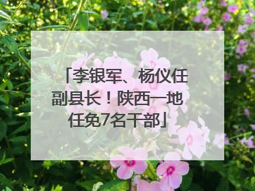 李银军、杨仪任副县长！陕西一地任免7名干部