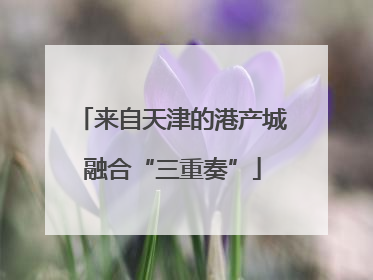 来自天津的港产城融合“三重奏”