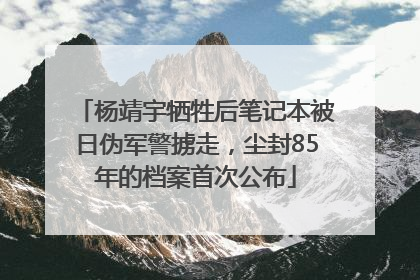 杨靖宇牺牲后笔记本被日伪军警掳走，尘封85年的档案首次公布