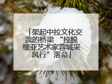 架起中拉文化交流的桥梁 “拉脱维亚艺术家蓉城采风行”落幕