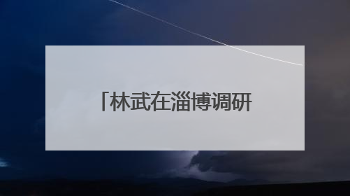 林武在淄博调研督导经济运行