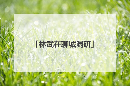 林武在聊城调研