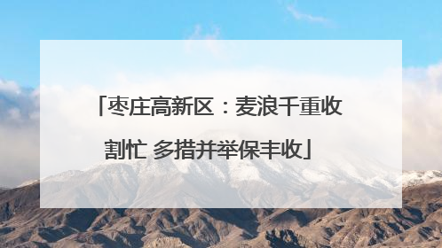 枣庄高新区：麦浪千重收割忙 多措并举保丰收