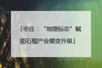 枣庄：“地理标志”赋能石榴产业蝶变升级