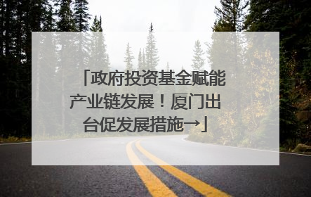 政府投资基金赋能产业链发展！厦门出台促发展措施→