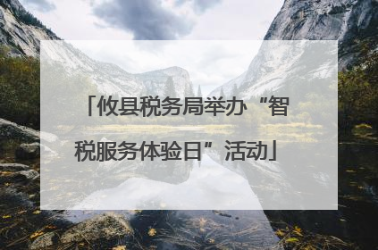 攸县税务局举办“智税服务体验日”活动
