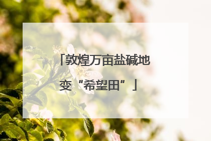 敦煌万亩盐碱地变“希望田”