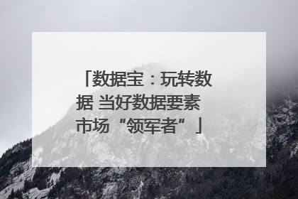 数据宝：玩转数据 当好数据要素市场“领军者”