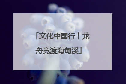 文化中国行丨龙舟竞渡海甸溪