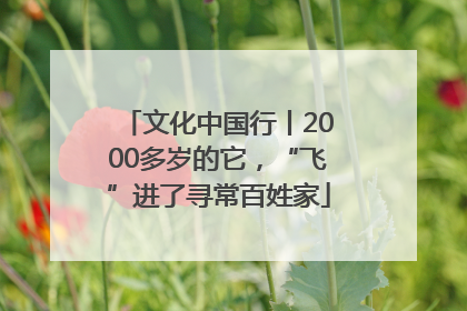 文化中国行丨2000多岁的它，“飞”进了寻常百姓家