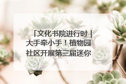 文化书院进行时｜大手牵小手！植物园社区开展第三届迷你马拉松活动