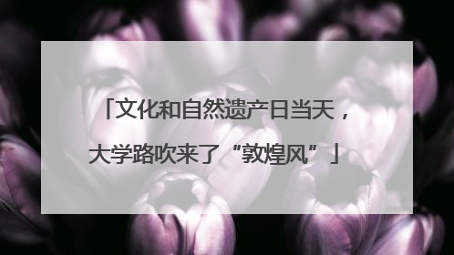 文化和自然遗产日当天，大学路吹来了“敦煌风”