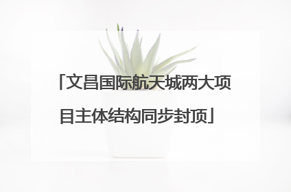 文昌国际航天城两大项目主体结构同步封顶