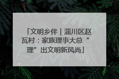 文明乡伴｜淄川区赵瓦村：家族理事大总“理”出文明新风尚
