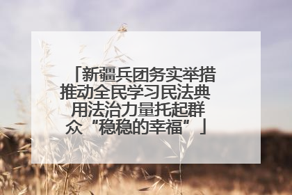 新疆兵团务实举措推动全民学习民法典 用法治力量托起群众“稳稳的幸福”