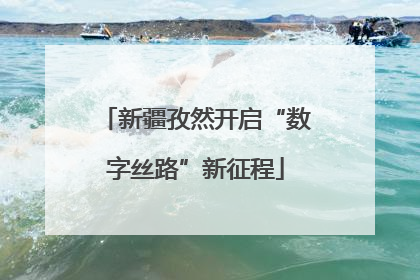 新疆孜然开启“数字丝路”新征程