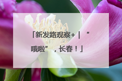 新发路观察+｜“哦啦”，长春！