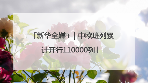 新华全媒+｜中欧班列累计开行110000列