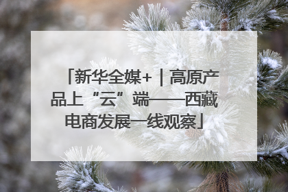 新华全媒+｜高原产品上“云”端——西藏电商发展一线观察