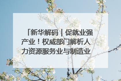 新华解码｜促就业强产业！权威部门解析人力资源服务业与制造业融合发展试点