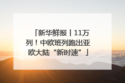 新华鲜报丨11万列！中欧班列跑出亚欧大陆“新时速”