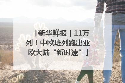 新华鲜报｜11万列！中欧班列跑出亚欧大陆“新时速”