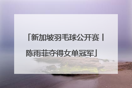 新加坡羽毛球公开赛丨陈雨菲夺得女单冠军
