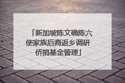 新加坡陈文确陈六使家族后裔返乡调研侨捐基金管理