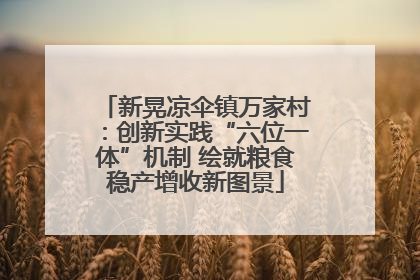 新晃凉伞镇万家村：创新实践“六位一体”机制 绘就粮食稳产增收新图景