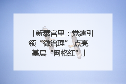 新泰宫里：党建引领“微治理” 点亮基层“网格红”