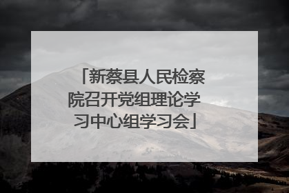 新蔡县人民检察院召开党组理论学习中心组学习会