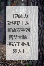 新质力 新津彩丨从解放双手到智慧大脑 探访工业机器人