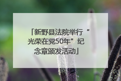 新野县法院举行“光荣在党50年”纪念章颁发活动