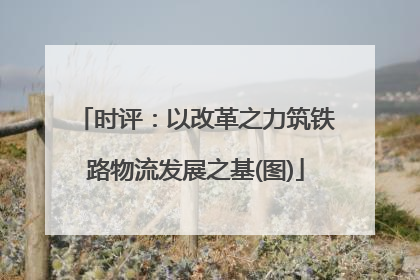 时评：以改革之力筑铁路物流发展之基(图)