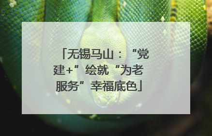无锡马山：“党建+”绘就“为老服务”幸福底色