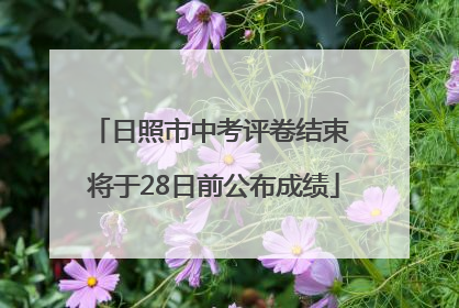 日照市中考评卷结束 将于28日前公布成绩