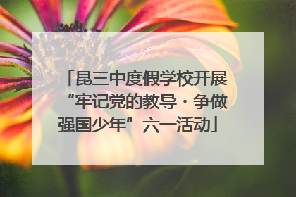 昆三中度假学校开展“牢记党的教导・争做强国少年”六一活动