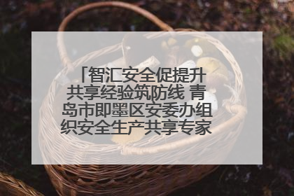 智汇安全促提升 共享经验筑防线 青岛市即墨区安委办组织安全生产共享专家现场观摩学习活动