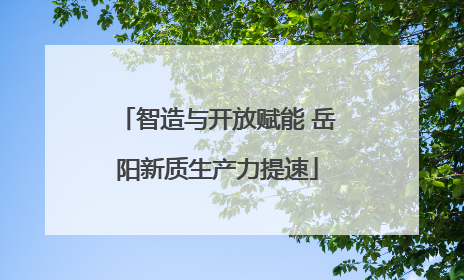 智造与开放赋能 岳阳新质生产力提速