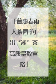 普惠春雨入茶园 润出“湘”茶高质量致富路