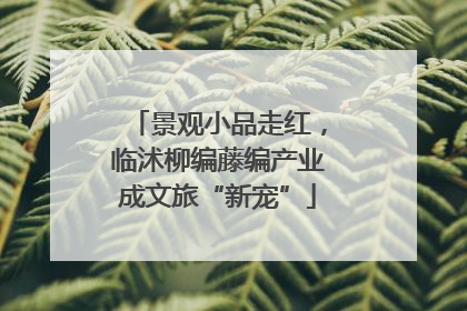 景观小品走红，临沭柳编藤编产业成文旅“新宠”